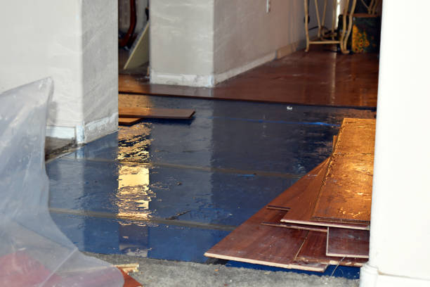 Professional Basement Flood Cleanup technician working in Convent Station, NJ